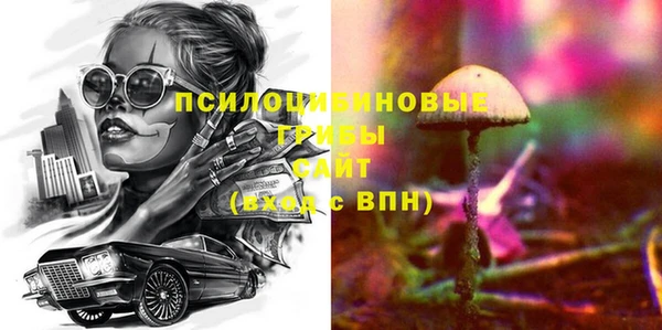 2c-b Горнозаводск